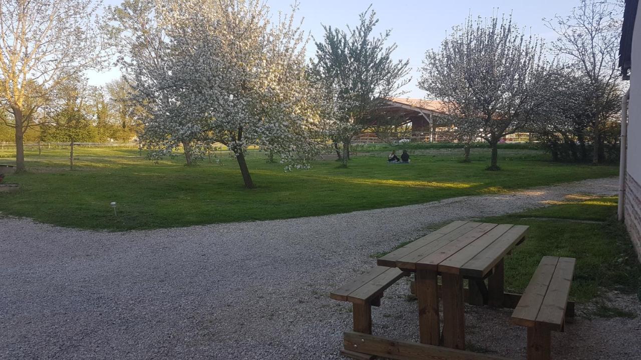 Ferme Passion Bed & Breakfast Saint-Trivier-sur-Moignans Екстериор снимка
